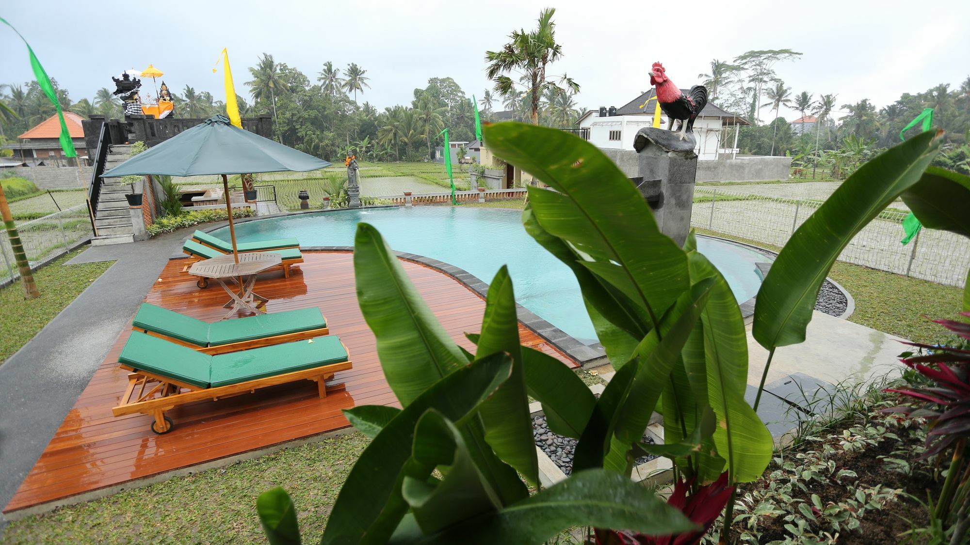 ดาร์รา เรีย วิลลา อูบุด Villa ภายนอก รูปภาพ